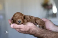 processed/7d2ac55f-954d-47ba-828c-7cce68f01b83/listing/41a0382a-2b49-41a5-93b9-32d6d59eb673/b47e8015-c4fc-4278-935d-7980e23efceb