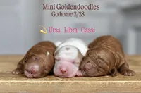 processed/7d2ac55f-954d-47ba-828c-7cce68f01b83/listing/41a0382a-2b49-41a5-93b9-32d6d59eb673/c9c95a76-a7bc-44f3-9663-d2052f2e5024