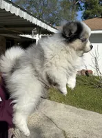 processed/7d441d84-430e-4482-bef0-2bd36475307d/listing/330ce545-e9ae-4c9f-b9b1-af28e796230f/0d1689e4-dab8-490a-9256-728e10c787ea