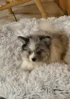 processed/7d441d84-430e-4482-bef0-2bd36475307d/listing/330ce545-e9ae-4c9f-b9b1-af28e796230f/8d2499ba-fc7e-4e86-9fe5-e4b0afd32a23