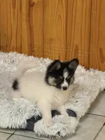 processed/7d441d84-430e-4482-bef0-2bd36475307d/listing/98390b54-2806-4e20-b99c-f8f3ede04cac/e8dcb839-b62c-4d48-b9b2-6b11a02d0027