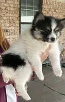 processed/7d441d84-430e-4482-bef0-2bd36475307d/listing/98390b54-2806-4e20-b99c-f8f3ede04cac/f2fe2118-c1da-41d7-8406-c53a732afc23