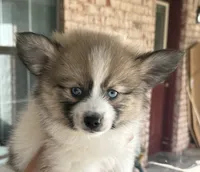 processed/7d441d84-430e-4482-bef0-2bd36475307d/listing/d1bfc98c-4c3f-466f-bbbf-65e5dbd47a6f/752cd678-6baa-433a-8371-cd5884bfa92e