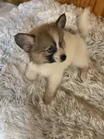 processed/7d441d84-430e-4482-bef0-2bd36475307d/listing/d1bfc98c-4c3f-466f-bbbf-65e5dbd47a6f/78bd1945-40e5-4f73-b1c3-cd2bb9f47160