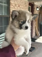 processed/7d441d84-430e-4482-bef0-2bd36475307d/listing/d1bfc98c-4c3f-466f-bbbf-65e5dbd47a6f/e19a345f-087f-4e90-81a7-3ebea399fa95