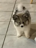 processed/7d441d84-430e-4482-bef0-2bd36475307d/listing/da3b8689-7045-43cd-b214-092c5e31564d/29307852-dcb0-46cc-b0d2-1c995cdef328