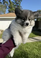 processed/7d441d84-430e-4482-bef0-2bd36475307d/listing/da3b8689-7045-43cd-b214-092c5e31564d/cb0ecc95-a4ef-4754-9415-d10b9811a391