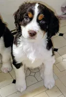 processed/7d4c18b3-8b19-4d66-9f6f-571cbd84ba74/listing/a7dfc6c3-119c-446d-b9e2-90d2678b6658/f67eacae-3ebe-4e27-9bc7-b85063d23ec8