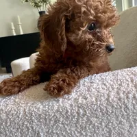 processed/7d52c70b-aec6-4c95-9ab1-12182051f0b7/facility/213d6fe4-6898-4a35-9689-12711155331a