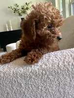 processed/7d52c70b-aec6-4c95-9ab1-12182051f0b7/facility/213d6fe4-6898-4a35-9689-12711155331a