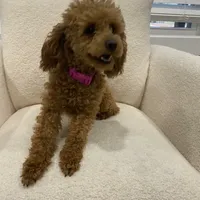 processed/7d52c70b-aec6-4c95-9ab1-12182051f0b7/facility/22ee08dd-d378-4f44-8a99-59c769c857d2