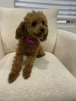 processed/7d52c70b-aec6-4c95-9ab1-12182051f0b7/facility/22ee08dd-d378-4f44-8a99-59c769c857d2