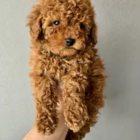 processed/7d52c70b-aec6-4c95-9ab1-12182051f0b7/facility/2d83bb7b-c898-4f89-90b2-f1d443da6605