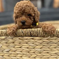 processed/7d52c70b-aec6-4c95-9ab1-12182051f0b7/facility/449064a5-0a3d-48d2-8619-7e391ae8486c