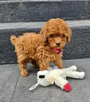 processed/7d52c70b-aec6-4c95-9ab1-12182051f0b7/facility/a31a7dbe-3815-4af9-a114-8589e2c8a692