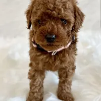 processed/7d52c70b-aec6-4c95-9ab1-12182051f0b7/facility/f92b6501-8406-40df-a7a4-158b864aa17c