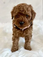 processed/7d52c70b-aec6-4c95-9ab1-12182051f0b7/facility/f92b6501-8406-40df-a7a4-158b864aa17c