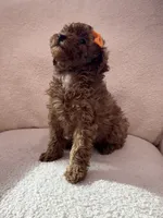 processed/7d52c70b-aec6-4c95-9ab1-12182051f0b7/listing/24f30611-5f0c-45d5-af36-d89ef6ec1dc3/3706183e-38fd-48cd-8121-9fcbc4523a7a