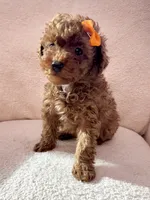 processed/7d52c70b-aec6-4c95-9ab1-12182051f0b7/listing/24f30611-5f0c-45d5-af36-d89ef6ec1dc3/66836df5-06dc-41e1-861a-47bf9c2ea6fe