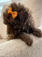 processed/7d52c70b-aec6-4c95-9ab1-12182051f0b7/listing/24f30611-5f0c-45d5-af36-d89ef6ec1dc3/7051541f-2a1b-457b-ba77-2779913adece