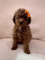 processed/7d52c70b-aec6-4c95-9ab1-12182051f0b7/listing/24f30611-5f0c-45d5-af36-d89ef6ec1dc3/c18fbc05-20e0-4482-88c5-116c714c4052