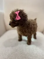 processed/7d52c70b-aec6-4c95-9ab1-12182051f0b7/listing/6cdc000b-9832-4452-8647-0d212775b8be/0f61775b-34d6-4d53-bf61-7c53ae889338