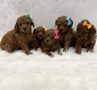 processed/7d52c70b-aec6-4c95-9ab1-12182051f0b7/listing/6cdc000b-9832-4452-8647-0d212775b8be/35f76e08-845a-4f87-a4a1-01f1d46af617