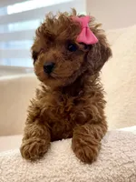 processed/7d52c70b-aec6-4c95-9ab1-12182051f0b7/listing/6cdc000b-9832-4452-8647-0d212775b8be/5cf66cc4-6bb0-4cae-b957-5c841e054008