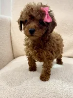 processed/7d52c70b-aec6-4c95-9ab1-12182051f0b7/listing/6cdc000b-9832-4452-8647-0d212775b8be/8f7d913d-7bd2-40f4-80a6-a27915d6ce33