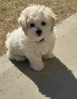 processed/7d52c70b-aec6-4c95-9ab1-12182051f0b7/listing/c86b355d-dc92-4691-a92e-866eb0fa9956/57de388e-9eeb-4d0f-b0e7-cfa8e2e0d23e