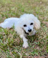 processed/7d52c70b-aec6-4c95-9ab1-12182051f0b7/listing/c86b355d-dc92-4691-a92e-866eb0fa9956/a2f82ccc-a5dc-49d5-bc50-8eba971cb566