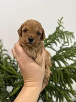 processed/7d52c70b-aec6-4c95-9ab1-12182051f0b7/listing/ef78fdc7-9ef4-4f8c-ad8a-652a9e55680e/cdea244c-ac97-40d2-8d8a-48cc95291618