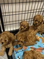 processed/7d52c70b-aec6-4c95-9ab1-12182051f0b7/listing/ef78fdc7-9ef4-4f8c-ad8a-652a9e55680e/d2458bec-5158-438a-9e93-8dba71b7d1cb