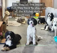 processed/7d53897c-8fea-4888-8109-4eafacdaebda/facility/3d3d35c7-3c7e-4645-ac54-209c0c75a349