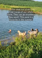 processed/7d53897c-8fea-4888-8109-4eafacdaebda/facility/4f7803a4-ad62-4ff3-977e-07c86d763221