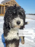 processed/7d53897c-8fea-4888-8109-4eafacdaebda/facility/877e869c-7042-42dd-a856-8232014243f5