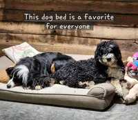 processed/7d53897c-8fea-4888-8109-4eafacdaebda/facility/95b10dba-8c8b-4ae0-8216-12c5c8c924df