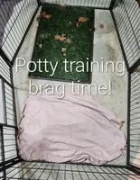 processed/7d53897c-8fea-4888-8109-4eafacdaebda/facility/cf8d844f-a10b-48d2-a122-08349e51e567