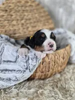 processed/7d53897c-8fea-4888-8109-4eafacdaebda/listing/1c493250-bfbe-4f40-b4b8-65baec8a061a/0fe24ad3-a83c-4422-b059-513a4ef8ede0