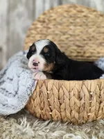 processed/7d53897c-8fea-4888-8109-4eafacdaebda/listing/1c493250-bfbe-4f40-b4b8-65baec8a061a/96e999db-a8f7-4f8b-8357-c035dc46dde9