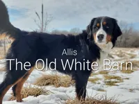 processed/7d53897c-8fea-4888-8109-4eafacdaebda/listing/61ca6ed0-3e94-44d7-a4a1-333db1c7f3fb/1b25afd4-f80b-42ec-8bf7-d9afc434b946