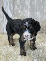 processed/7d53897c-8fea-4888-8109-4eafacdaebda/listing/61ca6ed0-3e94-44d7-a4a1-333db1c7f3fb/30d809e6-65b3-40d3-ae67-a852496dcef2