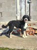 processed/7d53897c-8fea-4888-8109-4eafacdaebda/listing/61ca6ed0-3e94-44d7-a4a1-333db1c7f3fb/657862d9-ee36-4fa8-aecd-8af56f8b5503