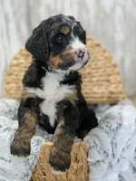 processed/7d53897c-8fea-4888-8109-4eafacdaebda/listing/61ca6ed0-3e94-44d7-a4a1-333db1c7f3fb/93e1e5f3-18e5-4159-a88f-42871612925f