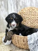 processed/7d53897c-8fea-4888-8109-4eafacdaebda/listing/61ca6ed0-3e94-44d7-a4a1-333db1c7f3fb/add04a5a-2a30-40ed-aad0-785de649ae75