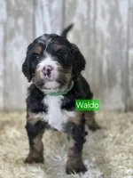 processed/7d53897c-8fea-4888-8109-4eafacdaebda/listing/61ca6ed0-3e94-44d7-a4a1-333db1c7f3fb/b22364ea-8d9c-40b1-a02f-5dafc758dbfc