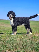 processed/7d53897c-8fea-4888-8109-4eafacdaebda/listing/7fb0430d-ba43-4f97-859a-f0ec2cc54823/8792f199-6106-4585-8a9b-bddd9f8f3487