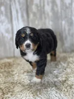 processed/7d53897c-8fea-4888-8109-4eafacdaebda/listing/7fb0430d-ba43-4f97-859a-f0ec2cc54823/9f0fab16-a497-4a26-a4a6-259d51c61400