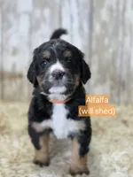 processed/7d53897c-8fea-4888-8109-4eafacdaebda/listing/c60eb782-30e3-4e0a-8f9b-e3121c50e652/87e6f6a7-ac92-4781-9396-eb7bd20bdf2c