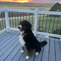 processed/7d6f99b0-51bc-41cf-b64a-e4b383602d74/facility/109d2fbb-9e01-48c7-ac5d-54a0127138f9